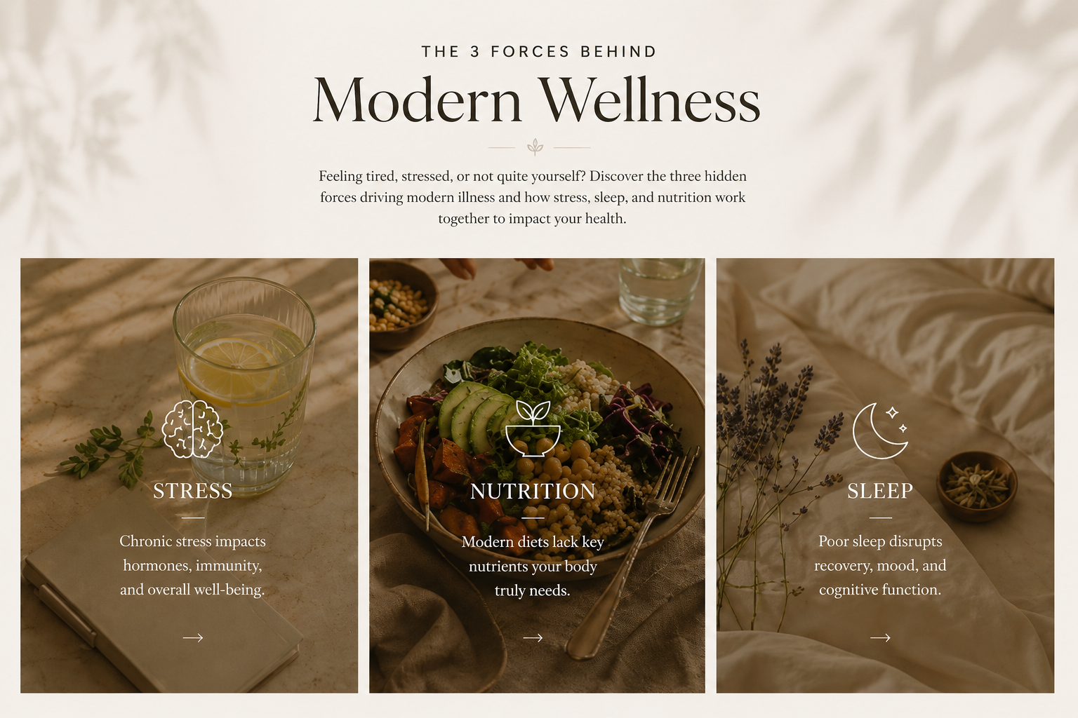 The 3 Forces Behind Modern Illness
