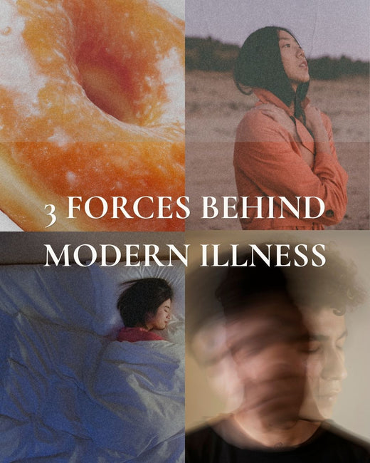 The 3 Forces Behind Modern Illness